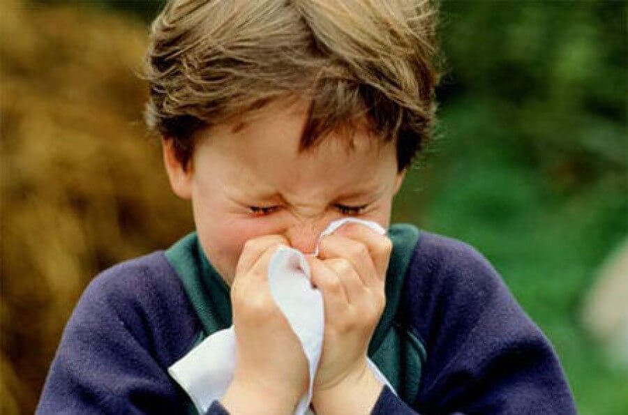 Боремся с аллергенами в доме